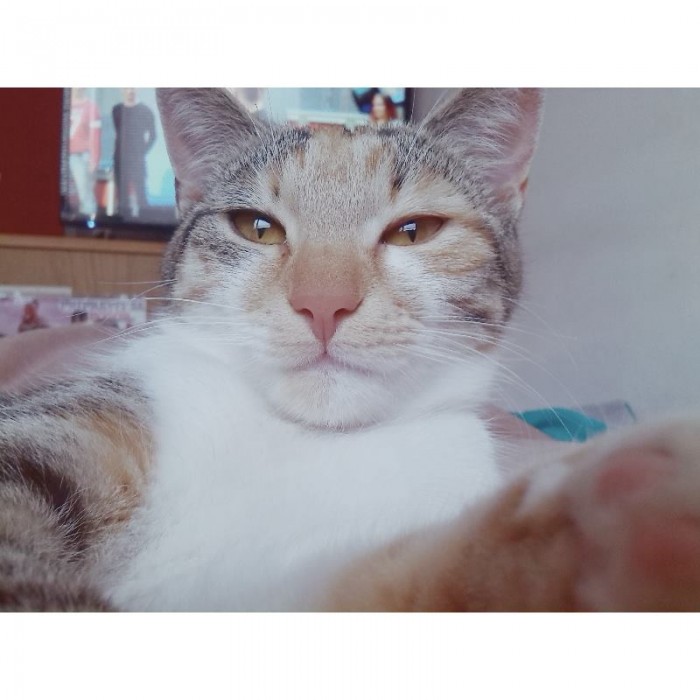 selfie