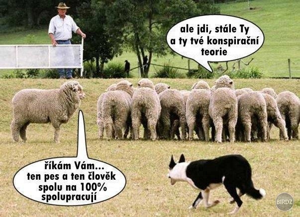 Obrázok