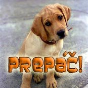 Prepáč....