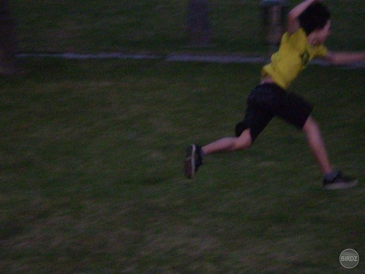 Naháňal som frisbee :D