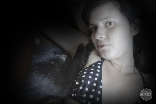 kacík :)