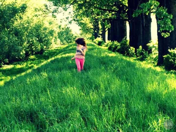 Young,Wild & Free