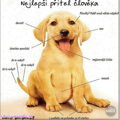 moj zlaty:D