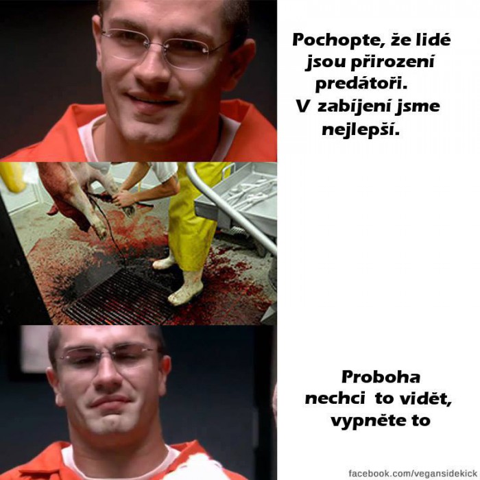  mentalny filmiq
