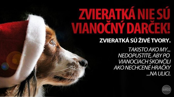 Obrázok