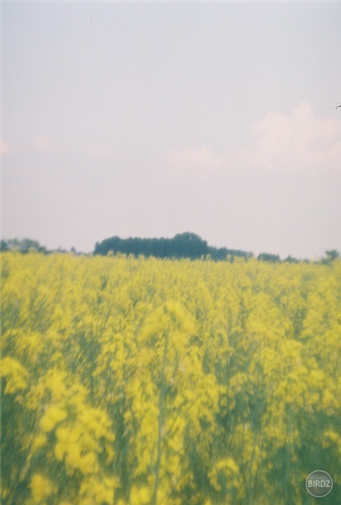 Obrázok