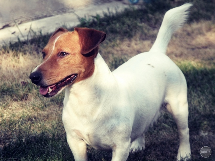 Môj havo ♥ :)