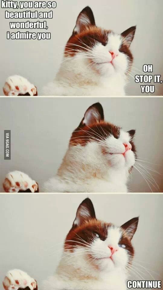 :D:D:D