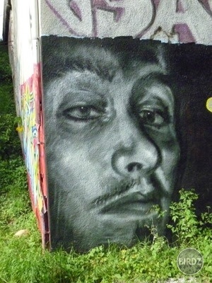 Obrázok