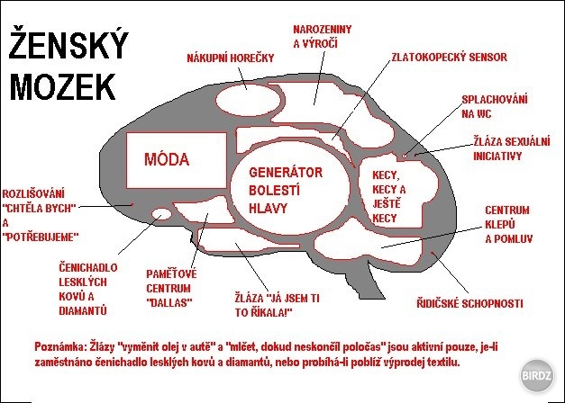 ževraj ženský mozog :)