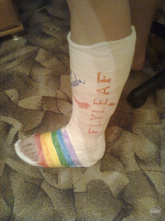 moj byvaly FLYLEAF & PRIDE style :)
a kusok miskinho podpisu :p