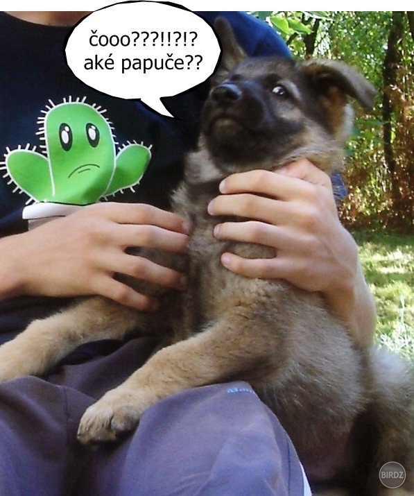 moooje zlate, hral to ze o nicom nevie :D