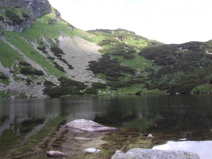 Obrázok