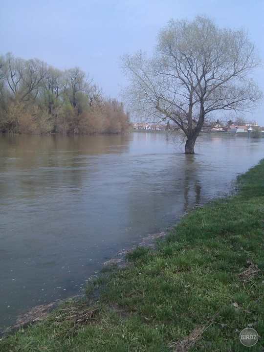 morava