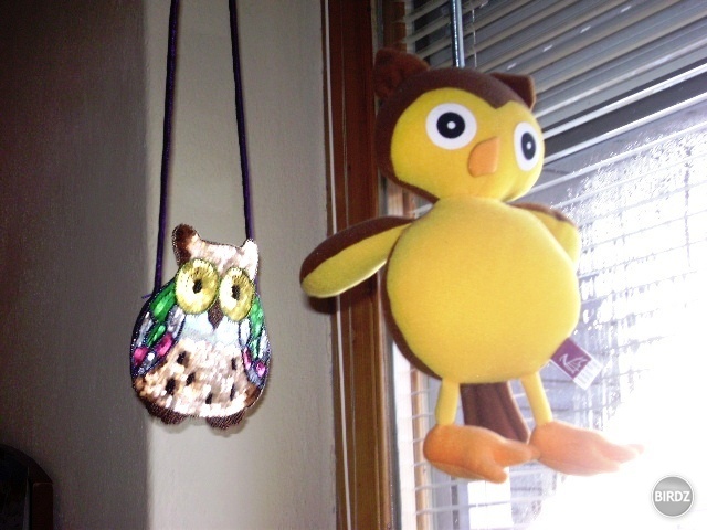 tieto mi visia na okne :)