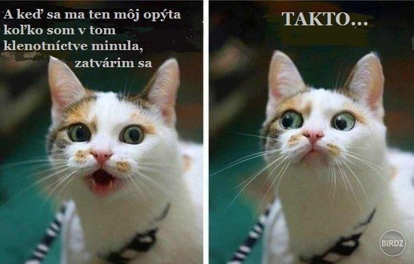 pobavilo :D
