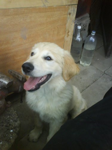 MOj havan