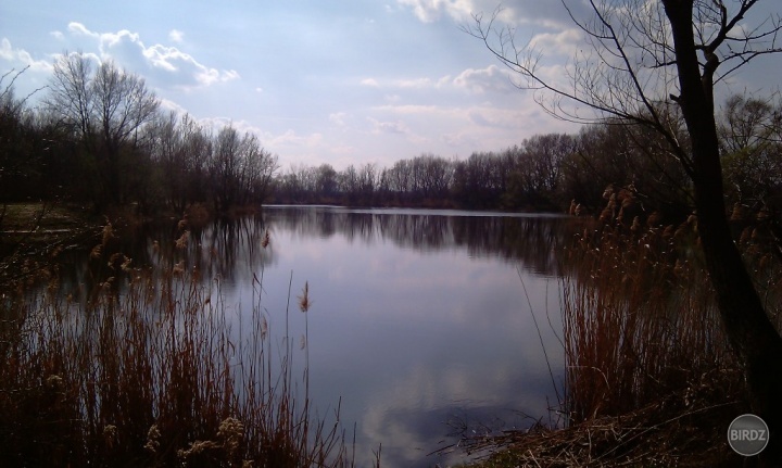 Ypsilonka