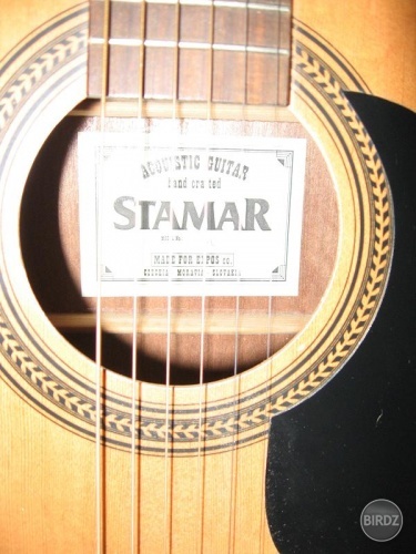 moja gitarka