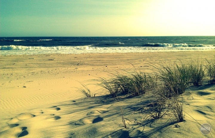 Montauk Beach, New York :)