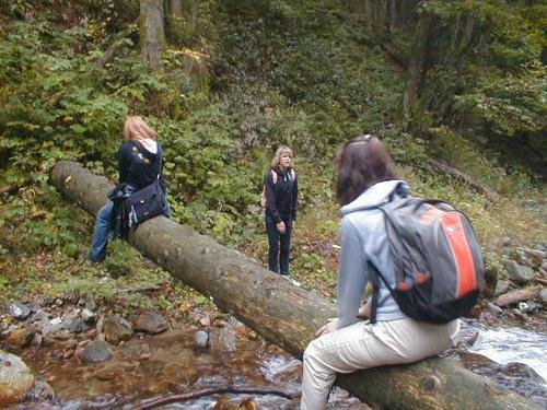Hm. no výlet:D výlet cez turistický s pani profesorkami:D ktoré nevedeli kam ideme a tak sme sa stratili. A pak.D sme museli liesť cez takéto onéé :D PNE :D ..na fotke nie som ja:D ja som nastastie preskakovala:D s preliezaním som mala problém