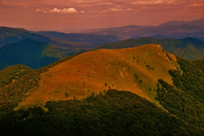 Vrch Osnica (1363 m. n. m.)