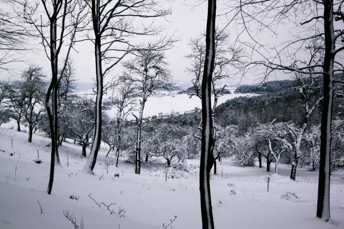 Pod Ľubovnianskym hradom 1