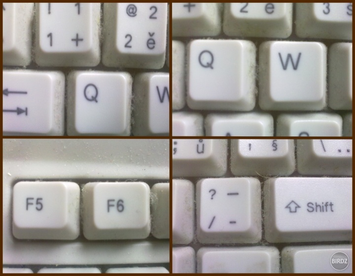 Čistota pol života. Mal by som si kúpiť novú klávesnicu,fuj kolko baktérií tam môže byť :D