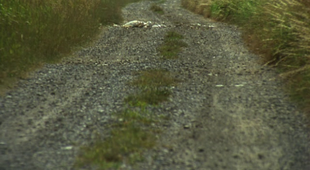 Z daleka widok jest piękny (Sasnal, 2011)