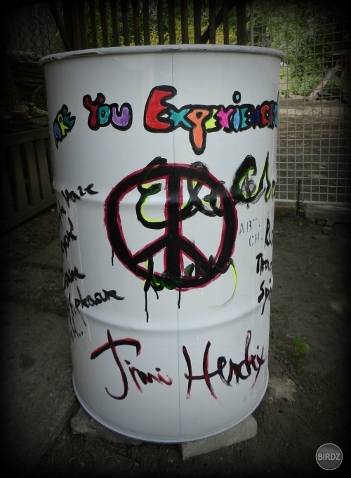 are you experienced?