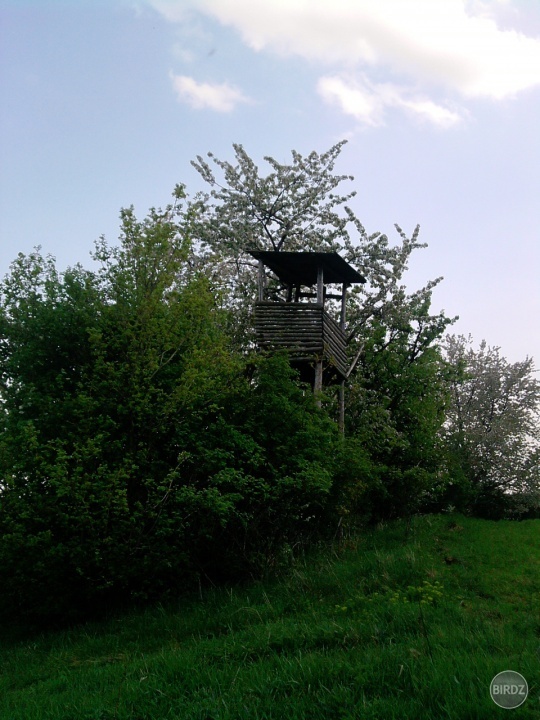 Obrázok