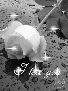 ... i love you ...