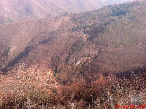 Obrázok