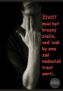 čistá pravda