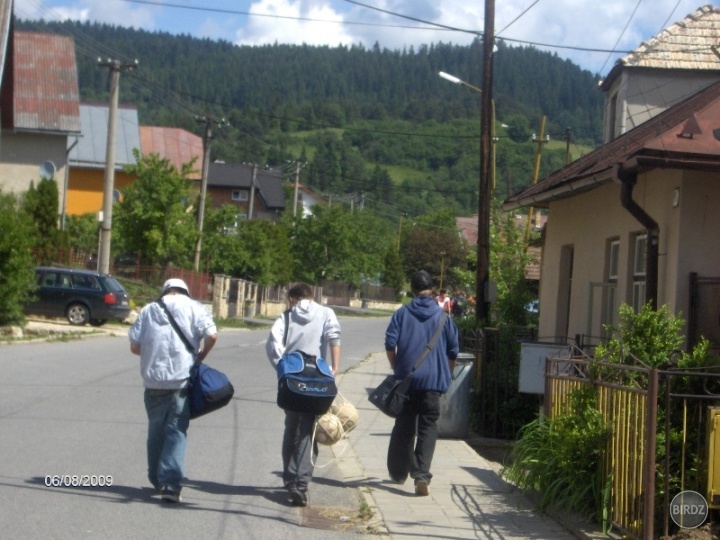 Bero,David,Petto