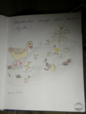 niake kačky
