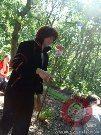 Obrázok