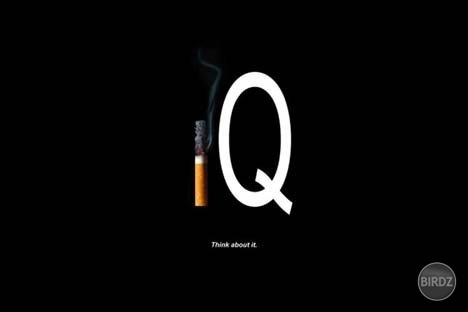 smokin IQ