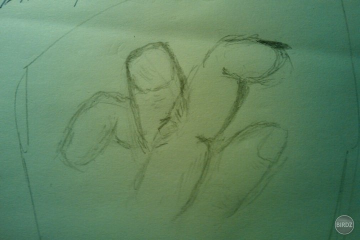 Fingerflower