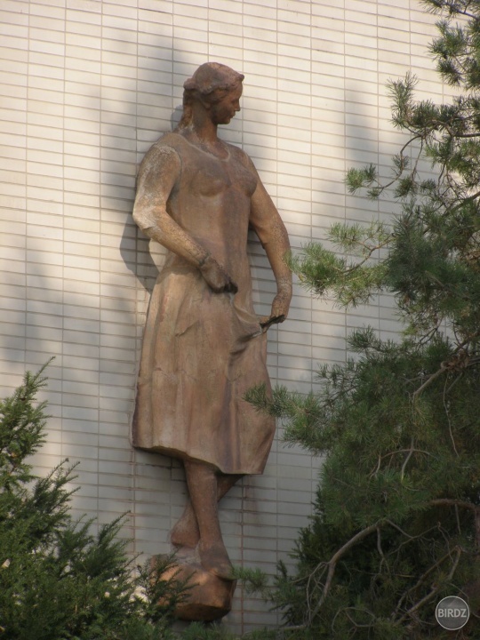 PKO 11.10.2008