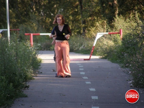 Obrázok