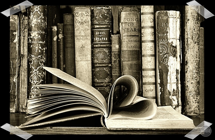 i love books