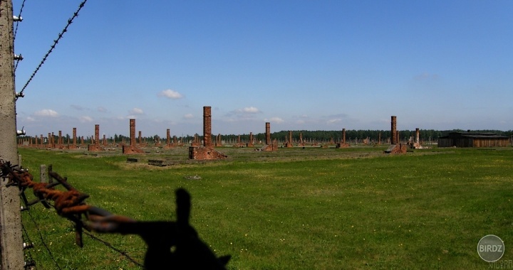 Auschwitz - Birkenau