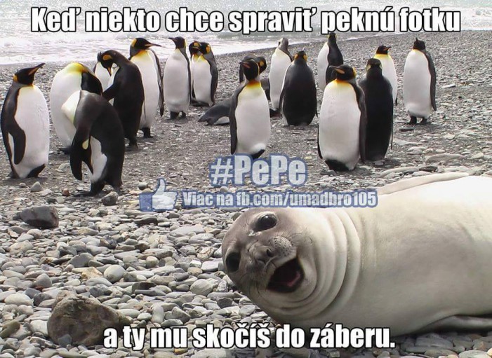  toto som ja na party!!! :D :D pesne! :D