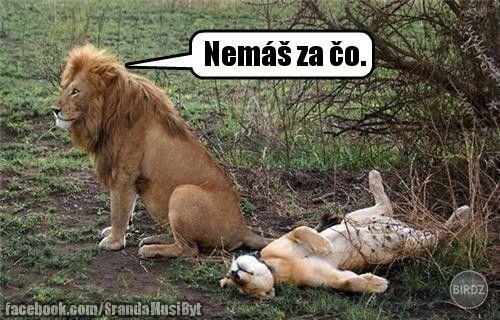 jeden z mojich fakt najoblubenejsich :D kolky sa v tom najdete ? :D