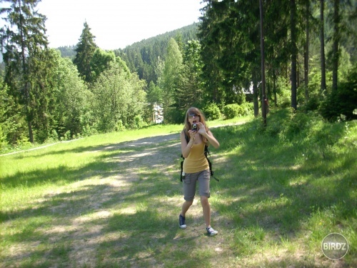 Obrázok