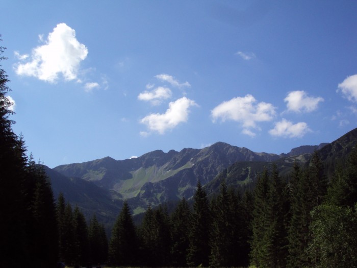 Obrázok