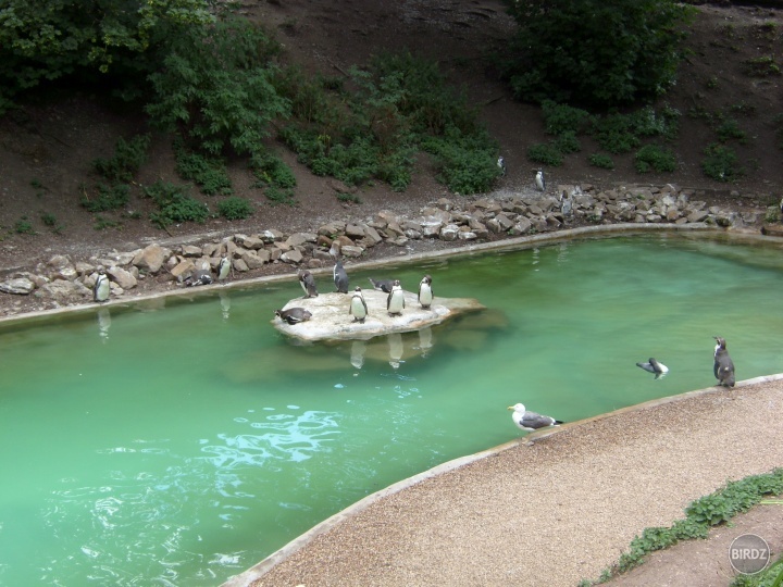 Obrázok