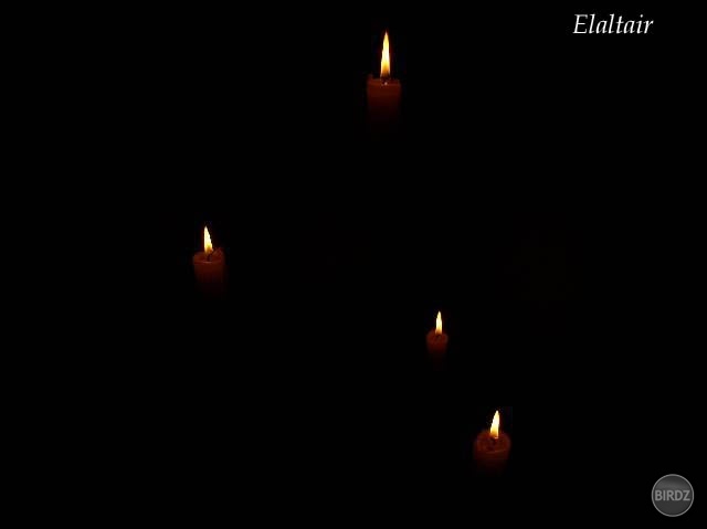 light in the dark