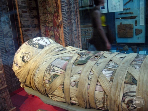 Múmia Kleopatry